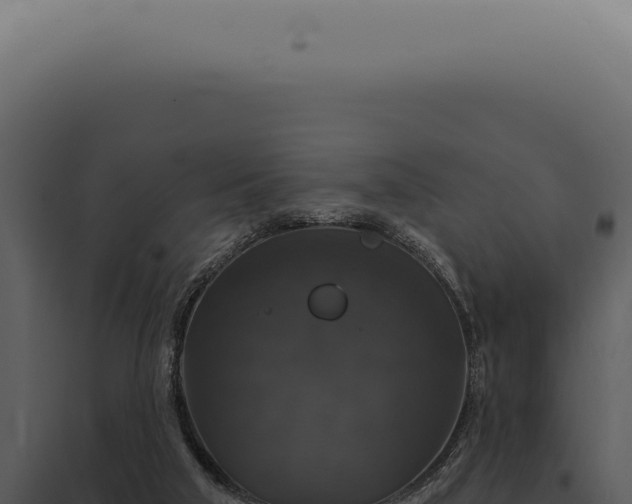X0000097990018200804011819