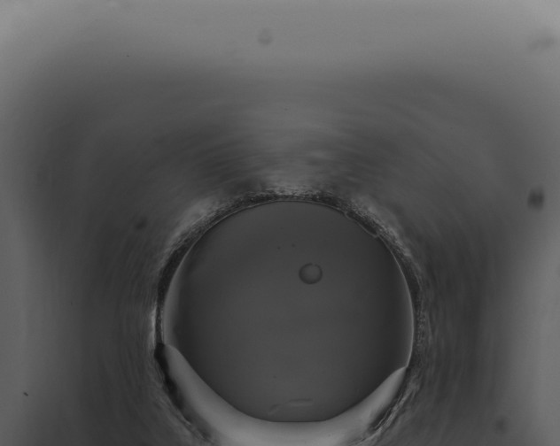 X0000097990019200804011819