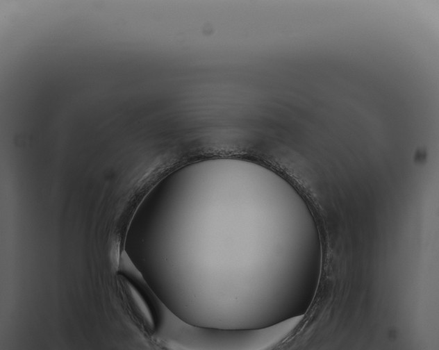 X0000097990021200804011819