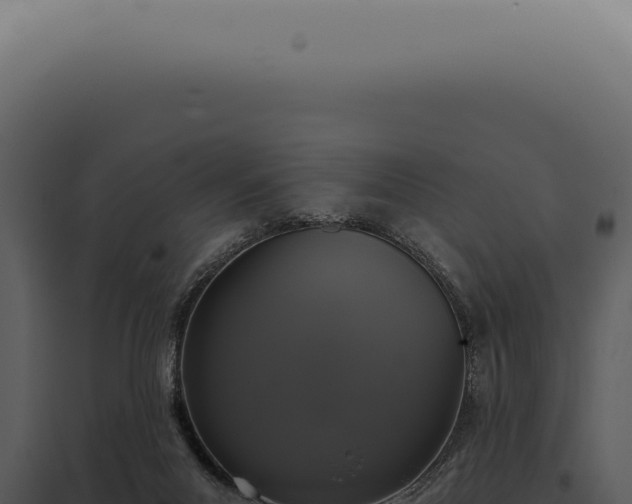X0000097990023200804011819