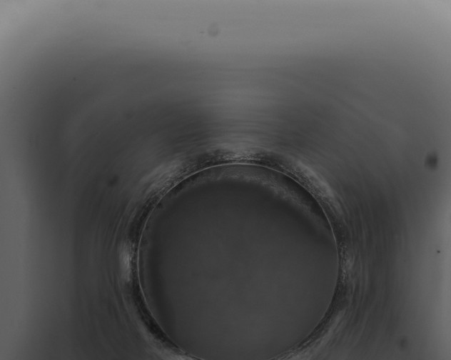 X0000097990026200804011819