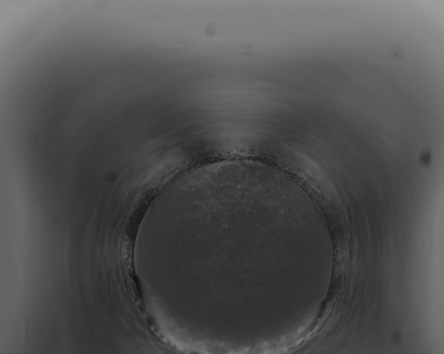 X0000097990029200804011819