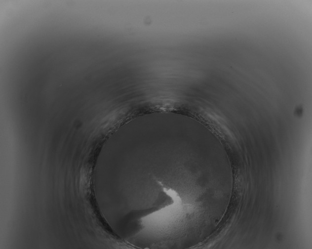 X0000097990030200804011819