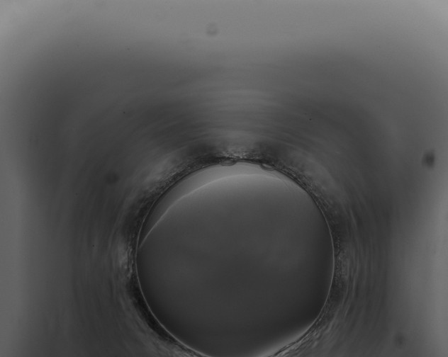 X0000097990031200804011819