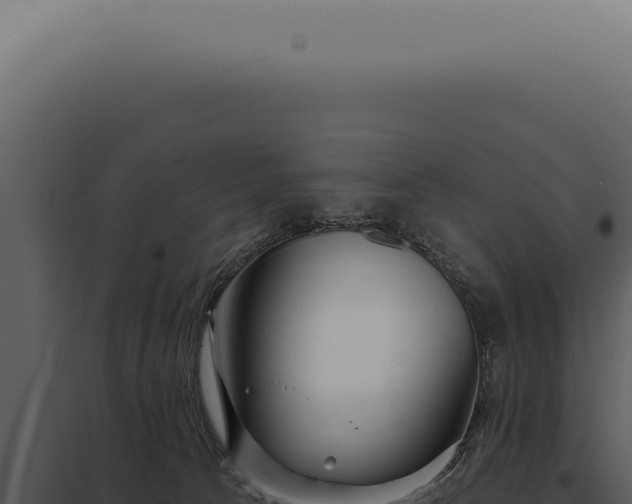 X0000097990033200804011819