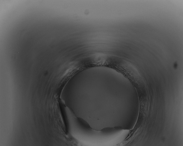 X0000097990035200804011819