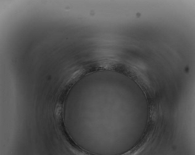 X0000097990036200804011819