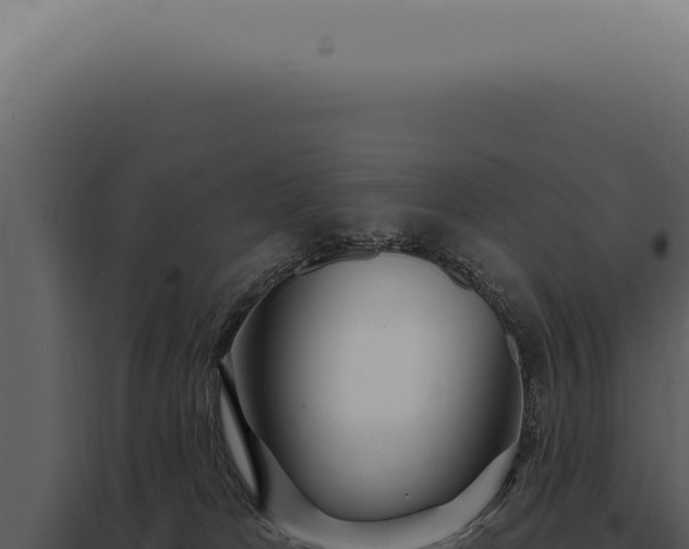 X0000097990037200804011819