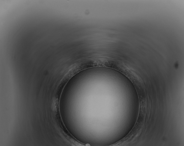 X0000097990038200804011819