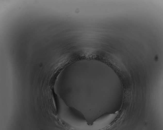X0000097990039200804011819