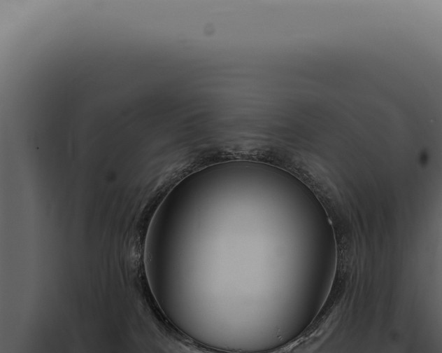 X0000097990040200804011819