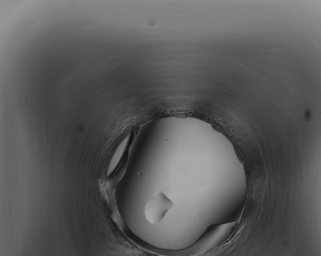 X0000097990041200804011819