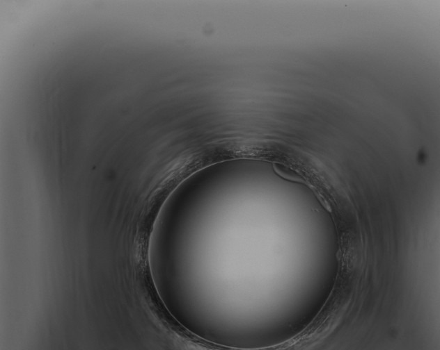 X0000097990044200804011819