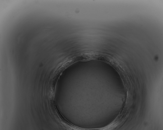X0000097990048200804011819