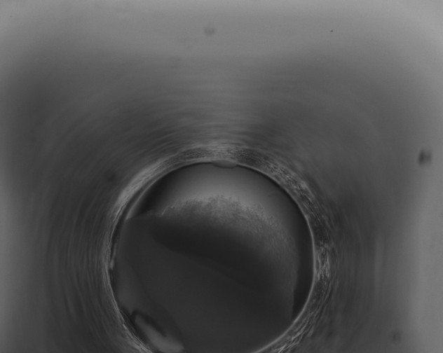X0000097990051200804011818
