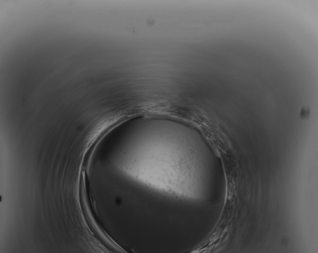 X0000097990052200804011818