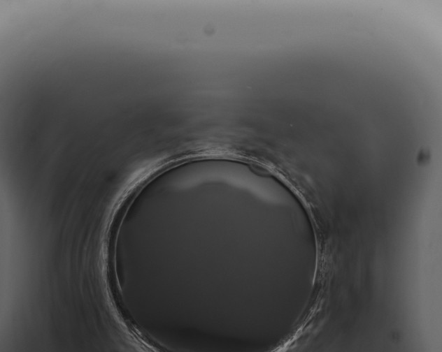 X0000097990055200804011818