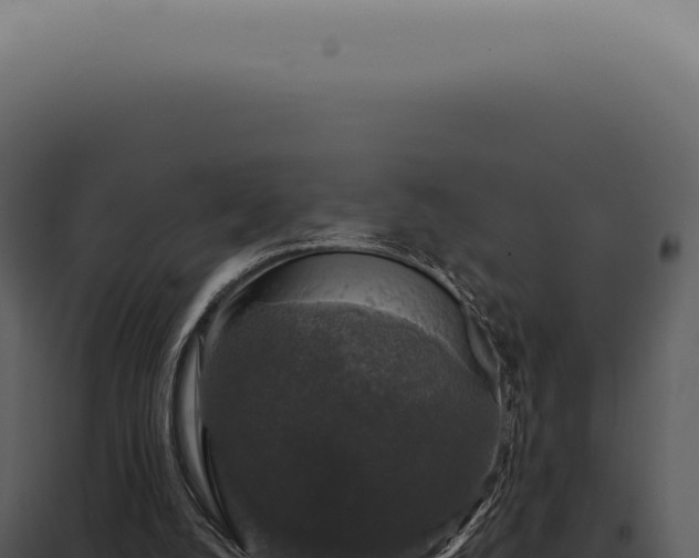 X0000097990056200804011818