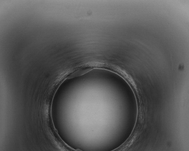 X0000097990057200804011818