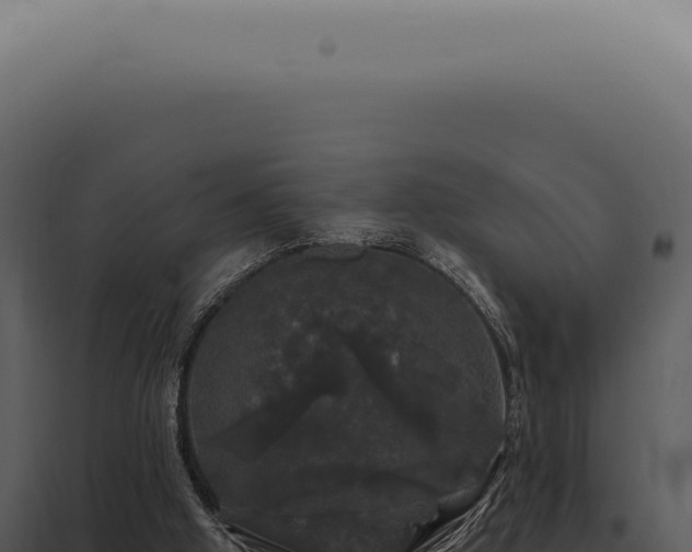 X0000097990058200804011818