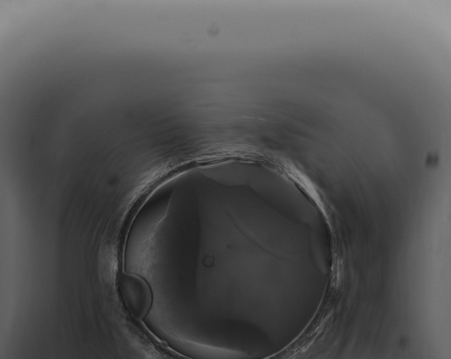 X0000097990059200804011818