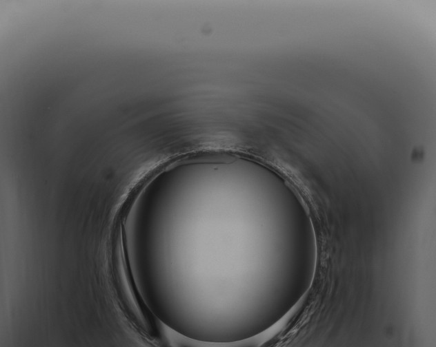 X0000097990060200804011818