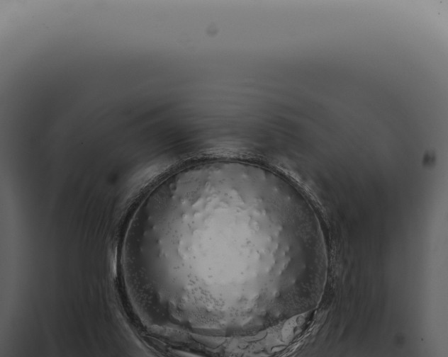 X0000097990062200804011818