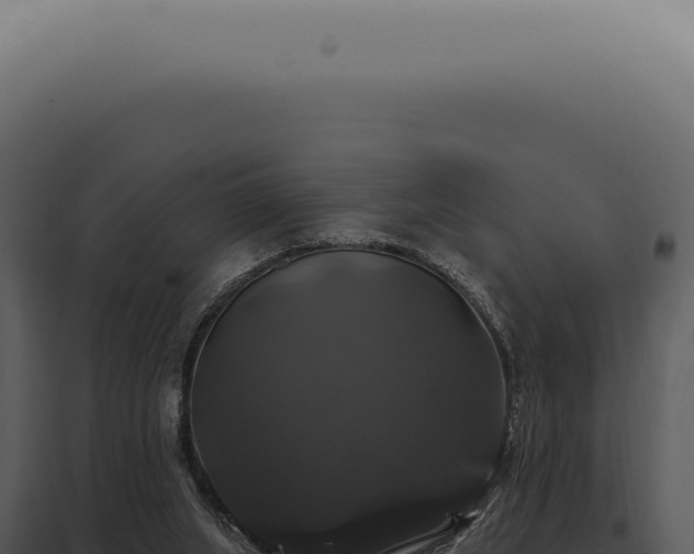X0000097990063200804011818