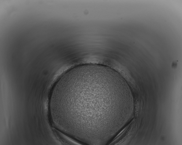 X0000097990064200804011818