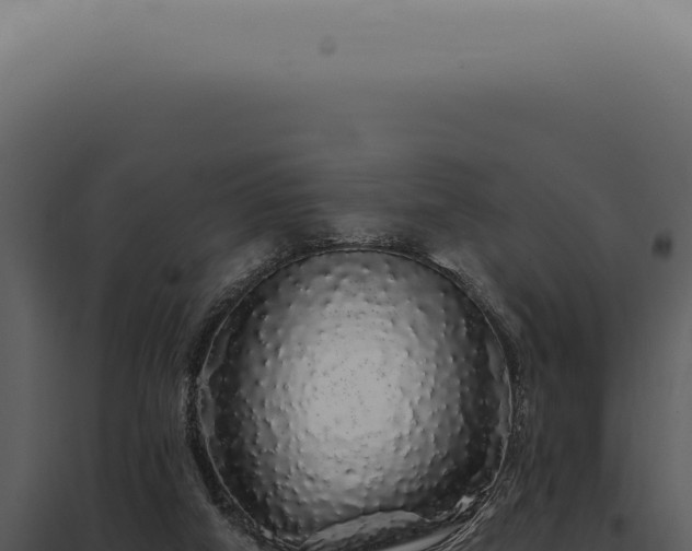 X0000097990066200804011818
