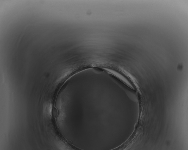 X0000097990067200804011818