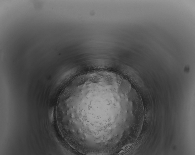 X0000097990070200804011818