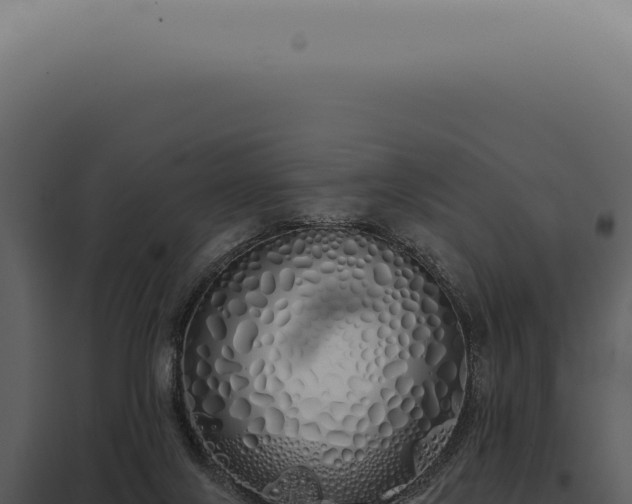 X0000097990071200804011819