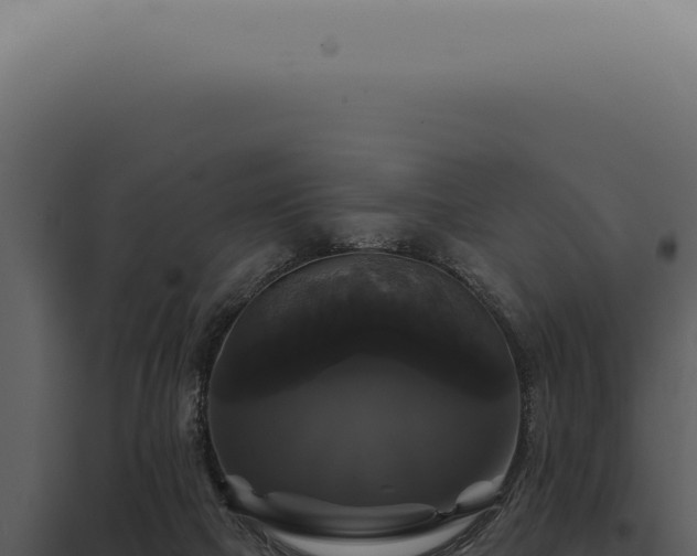 X0000097990073200804011819