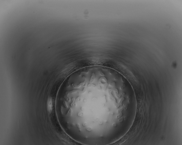 X0000097990075200804011819