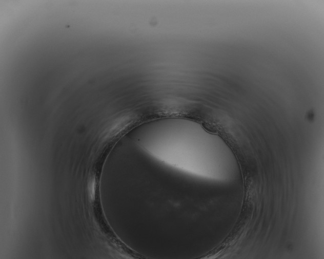 X0000097990076200804011819