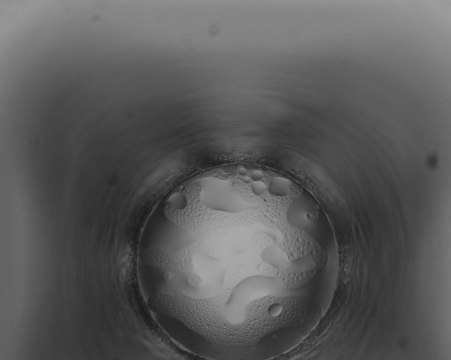 X0000097990077200804011819