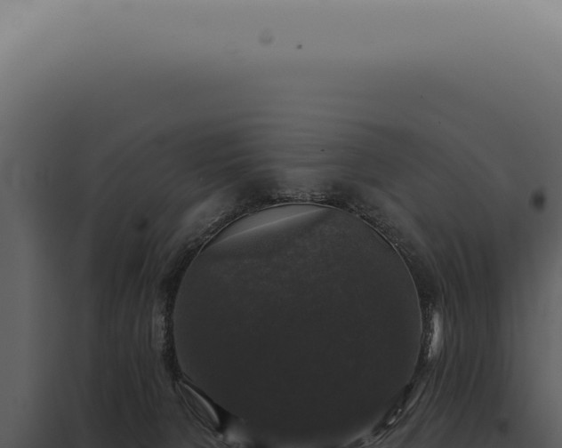 X0000097990080200804011819