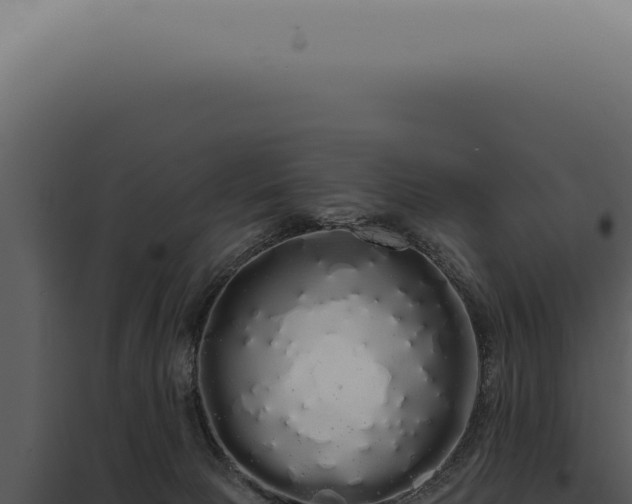 X0000097990081200804011819