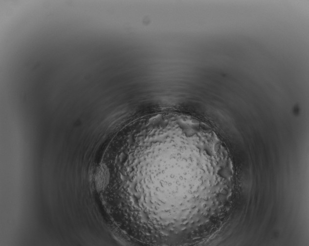 X0000097990082200804011819