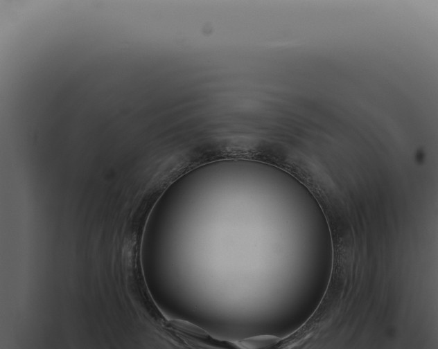 X0000097990083200804011819