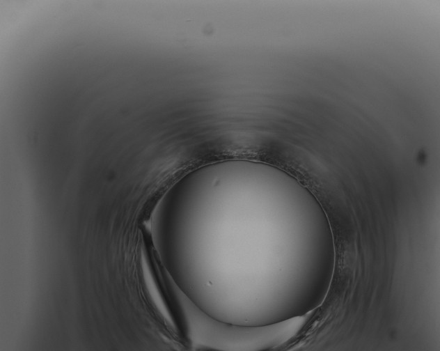 X0000097990084200804011819