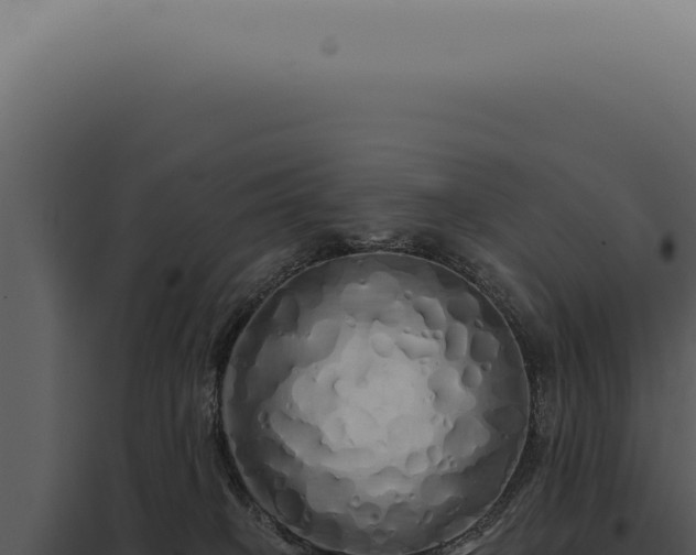 X0000097990085200804011819