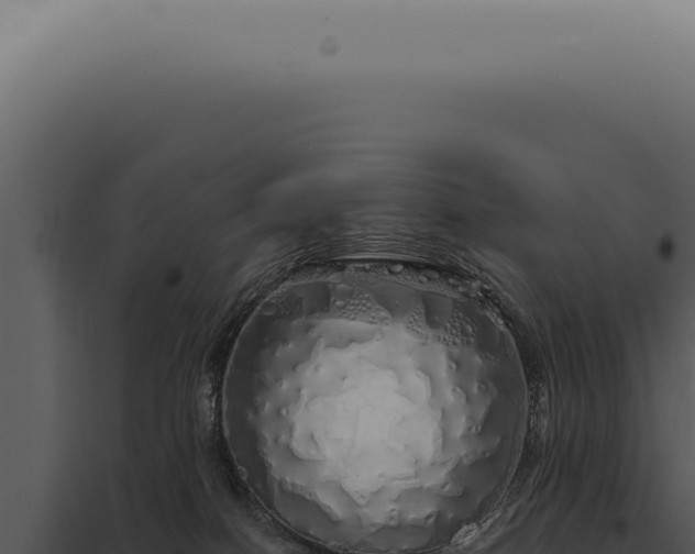 X0000097990086200804011819