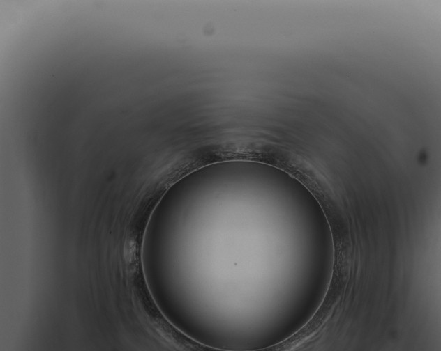 X0000097990087200804011819