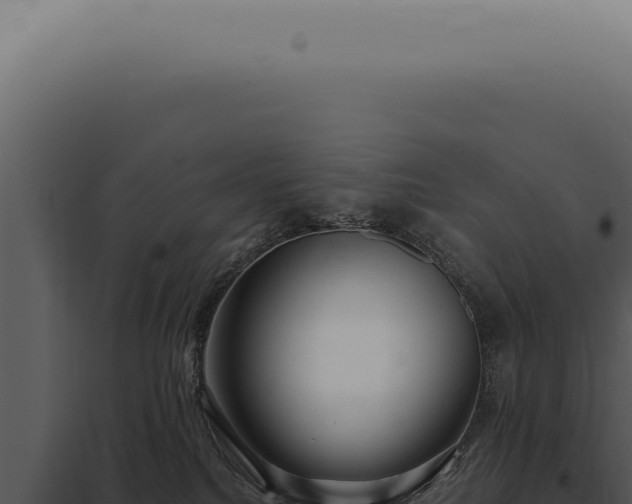 X0000097990088200804011819