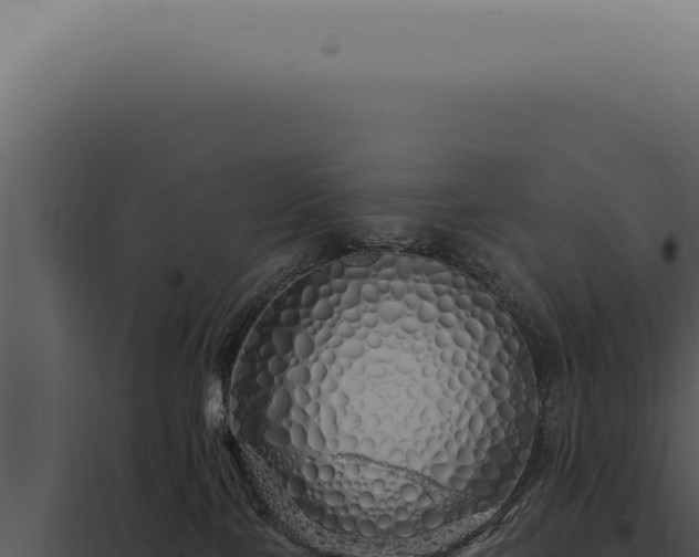 X0000097990089200804011819