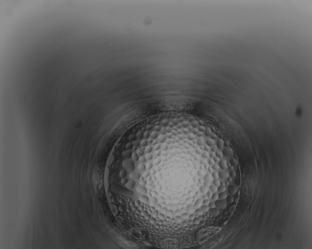 X0000097990091200804011819
