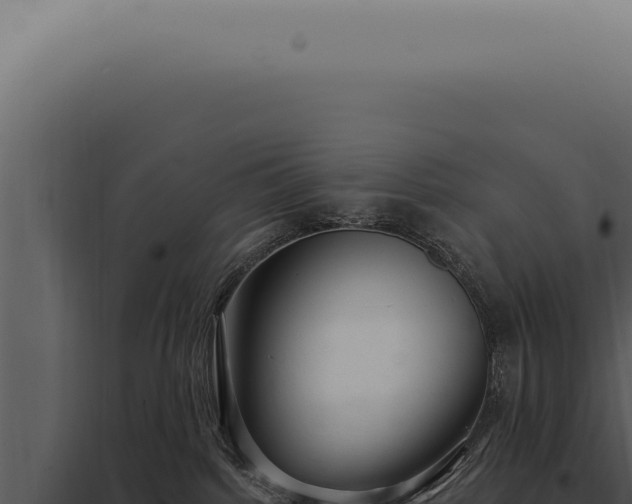 X0000097990092200804011819