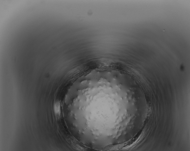 X0000097990094200804011819